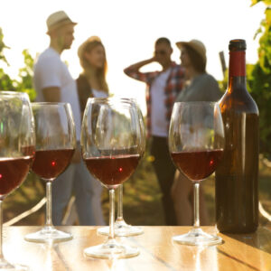 Winery visit and tasting of Mallorcan wines and olive oil (Cultural foodies)